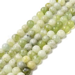 Natural New Jade Beads Strands&nbsp;G-K340-A01-02