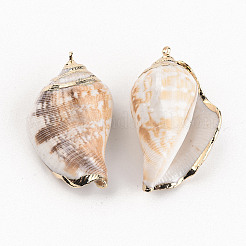Electroplate Natural Spiral Shell Pendants&nbsp;LS-SSHEL-R144-07