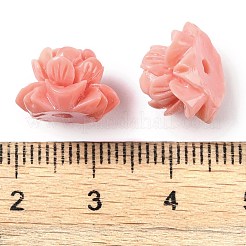 Synthetic Shell Dyed Carved Beads&nbsp;SHEL-H005-16