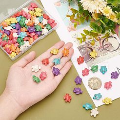 Synthetic Turquoise Beads Strands&nbsp;G-NB0003-71
