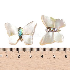 天然ホワイトシェルとパウアシェルのカボション  蝶  カラフル  21x26.5x2.5mm&nbsp;SSHEL-I026-27