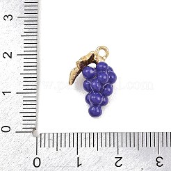 Fruit Alloy Enamel Pendants&nbsp;ENAM-P264-02G-G03