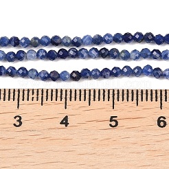 Natural Sodalite Beads Strands&nbsp;G-B175-D09-2mm