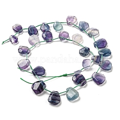 Natural Fluorite Beads Strands&nbsp;G-Z040-A01-01