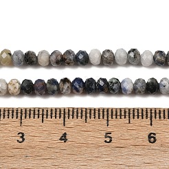 Natural Blue Spot Jasper Beads Strands&nbsp;G-D347-B06