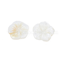 Natural Freshwater Shell Cabochons&nbsp;SHEL-N026-183