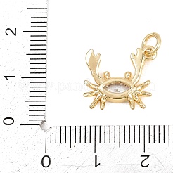 Brass Micro Pave Clear Cubic Zirconia Charms&nbsp;KK-D258-06G-02