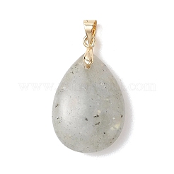 Natural Labradorite Pendants&nbsp;PALLOY-JF04953