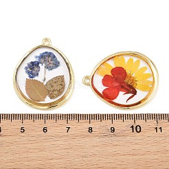 合金樹脂チャーム  ティアドロップチャーム  ドライフラワーと  ミックスカラー  34.5x28x3.5mm  穴：2.5mm&nbsp;RE-CBA591C-03G