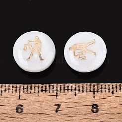 Natural Freshwater Shell Beads&nbsp;SHEL-N037-02D-G