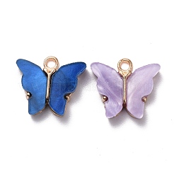 合金アクリルパーツ  蝶  ライトゴールド  ミックスカラー  14x16.5x3mm  穴：1.6mm&nbsp;ENAM-R136-01