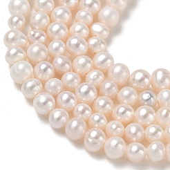 Natural Cultured Freshwater Pearl Beads Strands&nbsp;PA-CBAC463-29