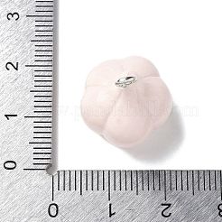 樹脂製鉄製ペンダント  人工野菜のテーマ  ニンニク  20x17x16.5mm  穴：2mm&nbsp;RESI-D280-08