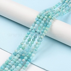 Natural Amazonite Beads Strands&nbsp;G-P500-01B-01