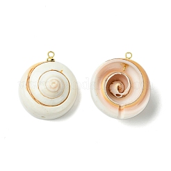 Natural Shiva Eye Shell Pendants&nbsp;KK-C143-55G