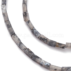 天然黒ラルビカイト ビーズ 連売り  直方体の  3.5~6x2.2x2.2mm  穴：0.9mm  約79~83個/連  15.04~15.24''（38.2~38.7センチメートル）&nbsp;G-C301-06