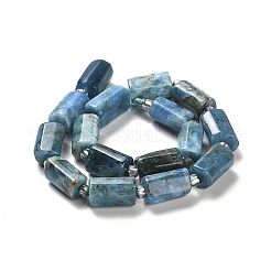 Natural Apatite Beads Strands&nbsp;G-N327-06-27