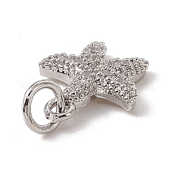 Brass Micro Pave Cubic Zirconia Charms&nbsp;ZIRC-F132-13P
