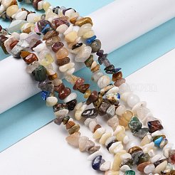 Natural & Synthetic Gemstone Chips Beads Strands&nbsp;G-L154-21