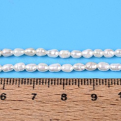 天然養殖淡水パールビーズ連売り  ライス  乳白色  3~4.5x2.5~3mm  穴：0.3~0.4mm  約44~50個/連  6.89~7.28''（17.5~18.5センチメートル）&nbsp;PEAR-T006-07