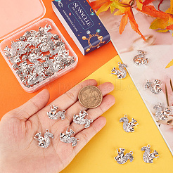 60Pcs 2 Style Alloy Charms&nbsp;TIBEP-SC0002-32