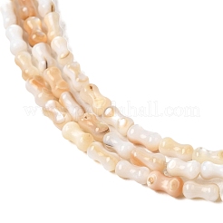 天然淡水シェルビーズ連売り  ピーナッツ  ビスク  5.5~6x3~3.5mm  穴：0.5mm  約65~66個/連  14.57~15.16''（37~38.5センチメートル）&nbsp;SHEL-A006-04B