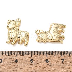 304 Stainless Steel Pendants&nbsp;SA-CBA3037-15G