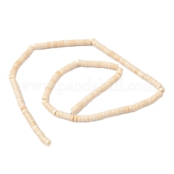 Natural Fossil Beads Strands&nbsp;G-H230-11