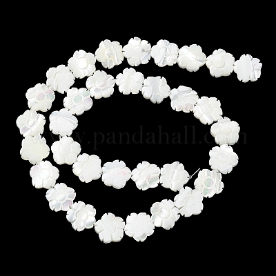 Natural Trochus Shell Beads Strands&nbsp;BSHE-E030-03-1