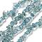 Transparent Crackle Glass Beads Strands, Chips, Cadet Blue, 3~7x8.5~12.5mm, Hole: 1.4mm, about 32.48''(82.5cm)