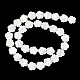 Natural Trochus Shell Beads Strands&nbsp;BSHE-E030-03-3
