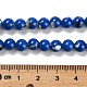 Assembled Synthetic Stone and Trochus Shell Beads Strands&nbsp;G-B128-08B-05-4
