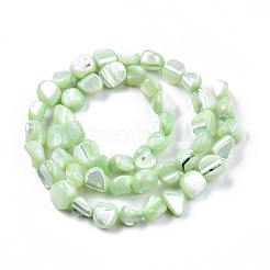 Natural Trochid Shell/Trochus Shell Beads Strands&nbsp;SSHEL-N032-49-A04