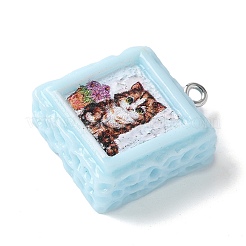 Opaque Resin Pendants&nbsp;RESI-Z033-02P-A
