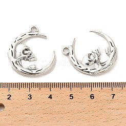 合金のチベット風チャーム  カドミウムフリー＆鉛フリー  頭蓋骨と月  アンティークシルバー  27x23.5x4mm  穴：2.3mm  約333個/1000g&nbsp;FIND-C043-010AS