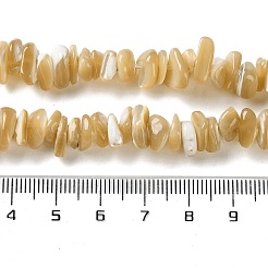 天然ニシキウズガイシェルビーズ連売り  チップ  ゴールデンロッド  2~7x7~13x3~6mm  穴：0.7mm  15.35~15.75''（39~40センチメートル）&nbsp;SHEL-G020-01