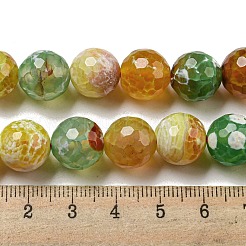 Faceted Natural Fire Crackle Agate Beads Strands&nbsp;G-F447-12mm-M01