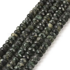 Natural Seraphinite Beads Strands&nbsp;G-K376-E06-4x6mm
