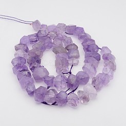 Natural Amethyst Nuggets Bead Strands&nbsp;G-P082-15