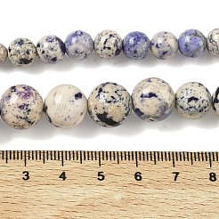 Natural Fossil Graduated Beads Strands&nbsp;G-F830-A03-01D