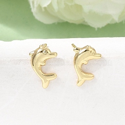 Brass Stud Earrings for Women&nbsp;EJEW-A166-01G