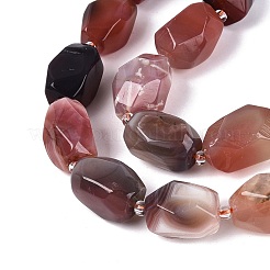 Natural Red Botswana Agate Beads Strands&nbsp;G-N362-07A-06
