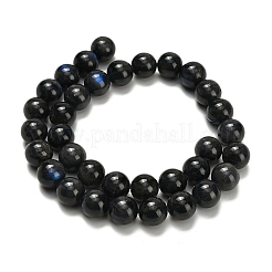 Natural Black Labradorite Beads Strands&nbsp;G-L642-B15-12mm