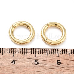 Rack Plating Brass Twister Clasp&nbsp;LS-KK-G512-09B-G