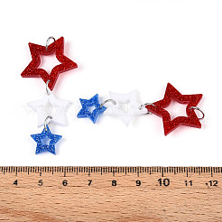Acrylic Big Pendants&nbsp;OACR-N144-04
