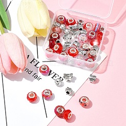 DIY Tibetan Style Alloy & Resin European Beads Making Finding Kits&nbsp;DIY-FS0006-78E