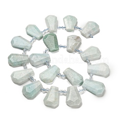 Natural Amazonite Beads Strands&nbsp;G-H078-A06-01