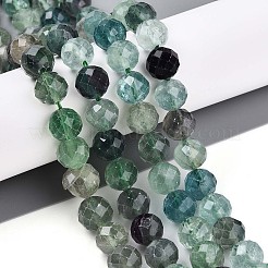 Natural Fluorite Beads Strands&nbsp;G-S345-10mm-31
