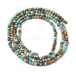 Natural African Turquoise(Jasper) Beads Strands&nbsp;G-K366-G01-2mm