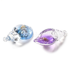 10Pcs Transparent Resin Conch Shell Pendants&nbsp;FIND-B031-01